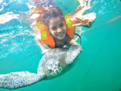 Nado con Tortugas