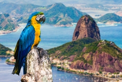 Río de Janeiro vía Avianca